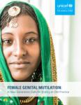 Female Genital Mutilation report. En rapport om de framsteg som gjorts de tre senaste decennierna inom kvinnlig könsstympning. 