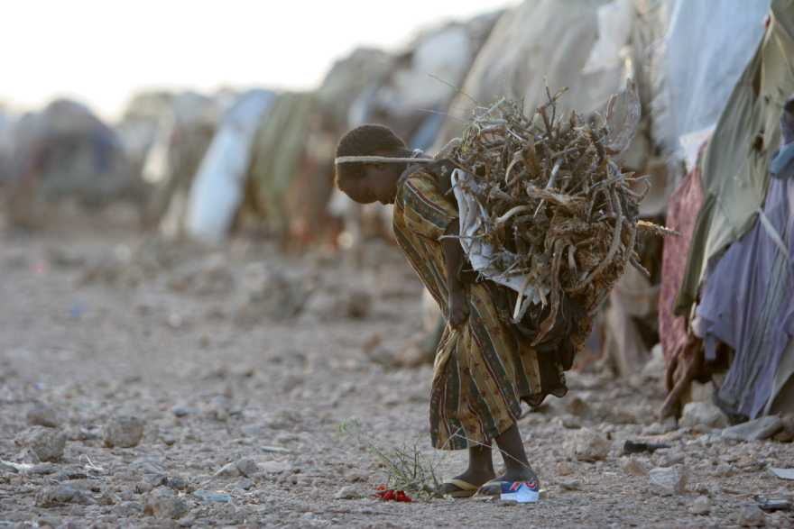 En flicka i ett flyktingläger i Somalia får bära ett tungt lass med ved och kvistar. 